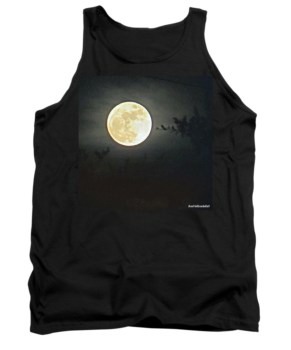 Beautiful Tank Top featuring the photograph Sweet Dreams And A Full #moon #1 by Austin Tuxedo Cat