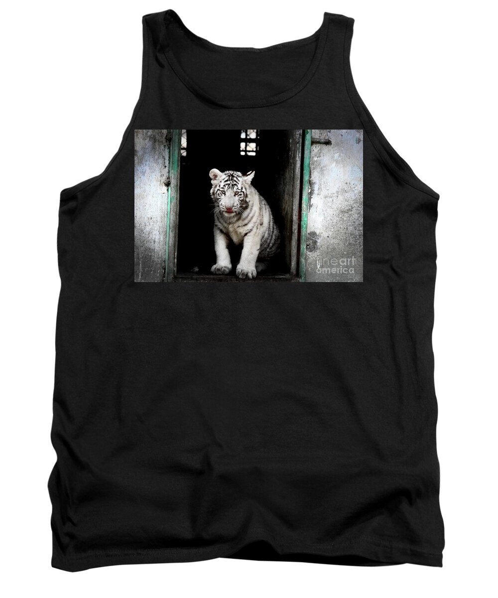 China Tank Top featuring the photograph Discovering China #12 by Marisol VB