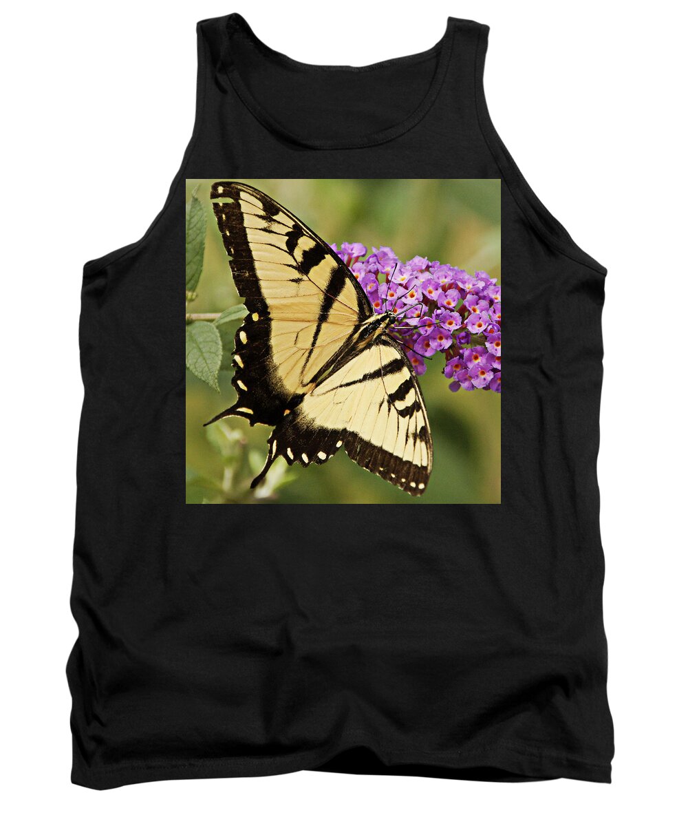 Easterntriger Swallowtail Tank Top featuring the photograph Eastern Triger Swallowtail #2 by Eric Noa