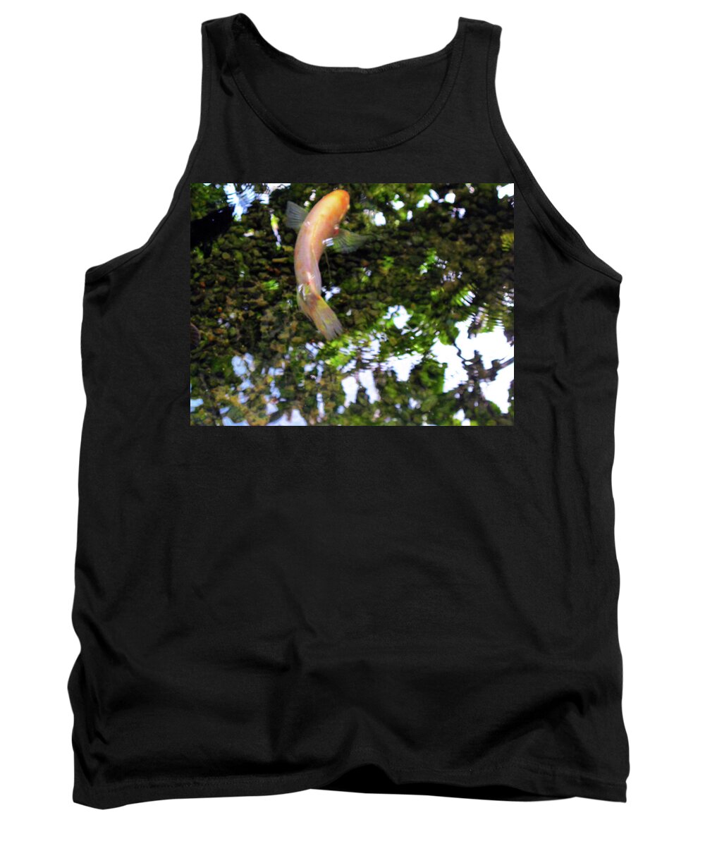 Fish Tank Top featuring the photograph Swedish Coy by Kathy Corday