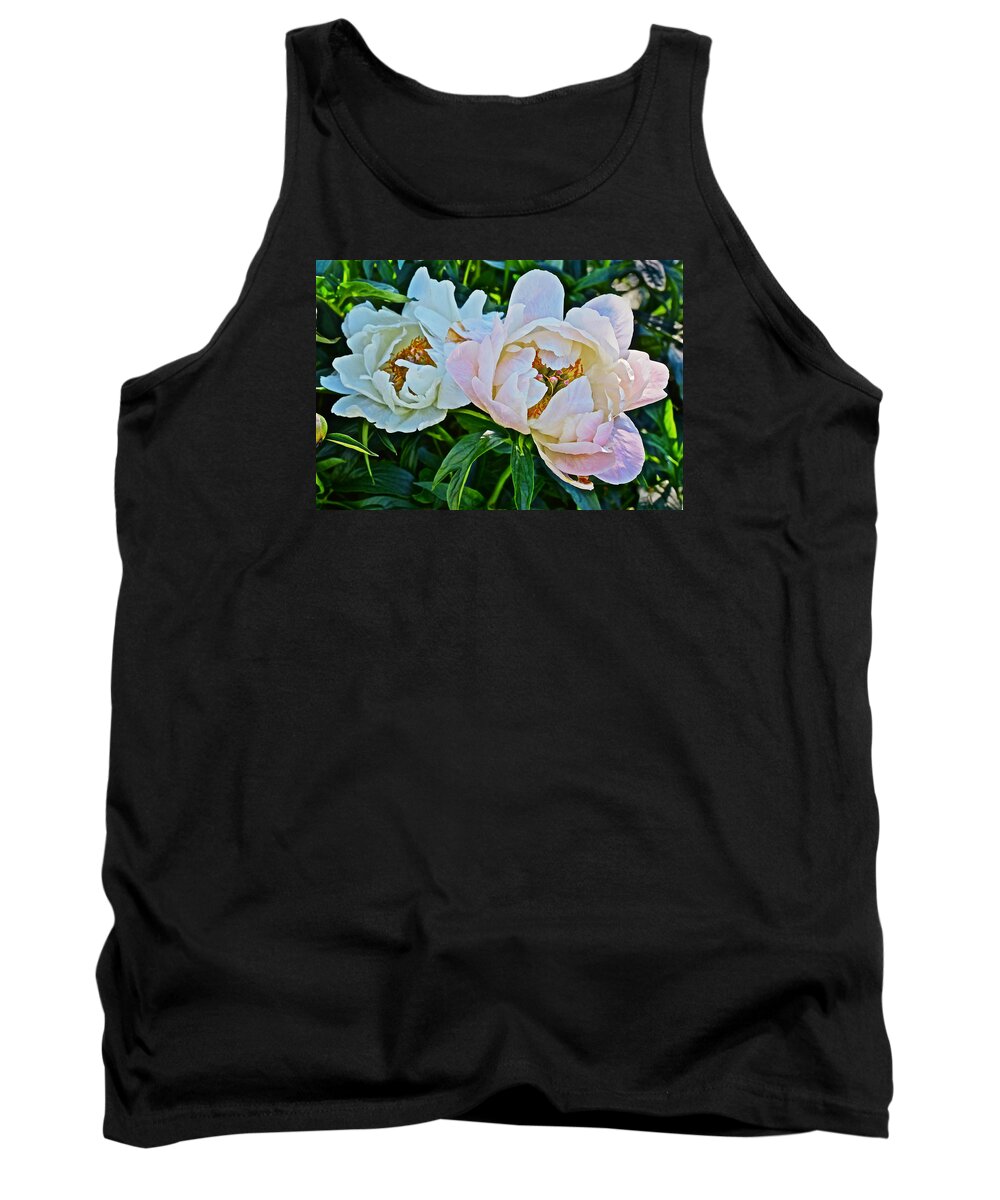 Peonies Tank Top featuring the photograph 2015 Summer's Eve at the Garden White Peony Duo by Janis Senungetuk