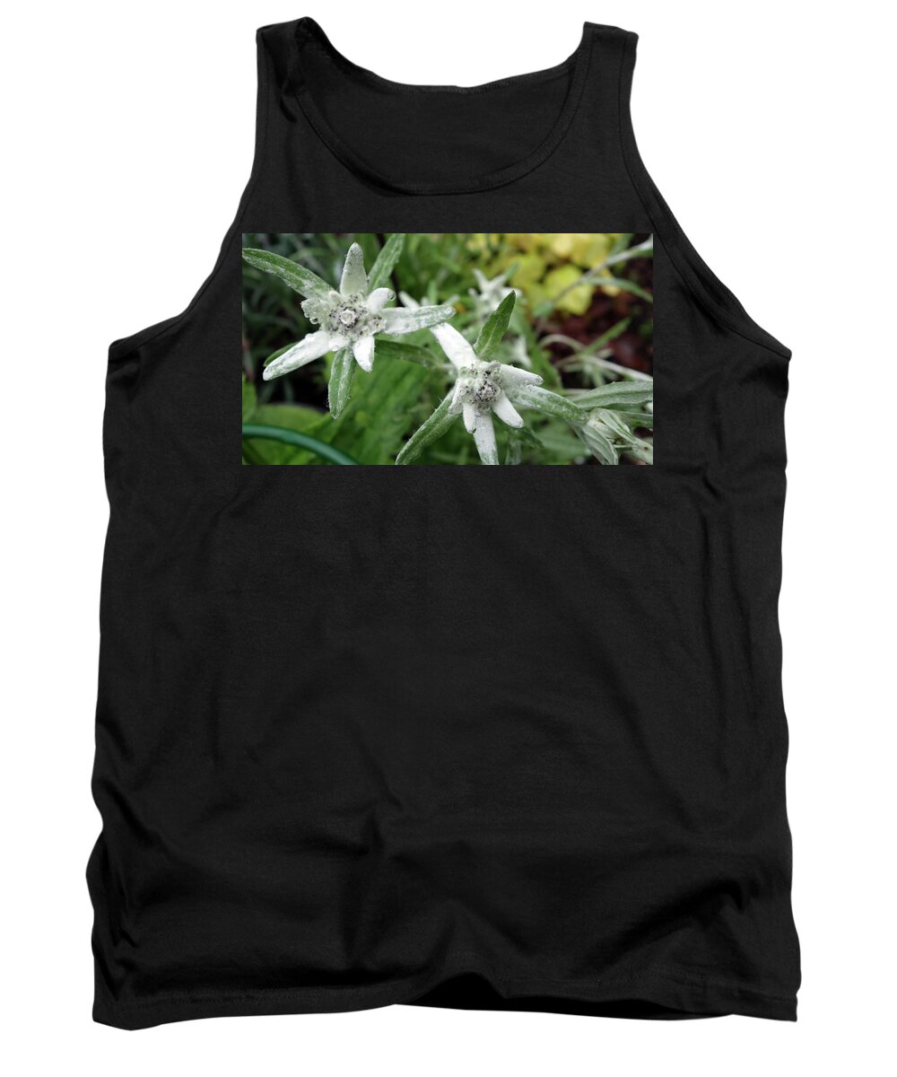 Flower Tank Top featuring the photograph Flower #247 by Mariel Mcmeeking
