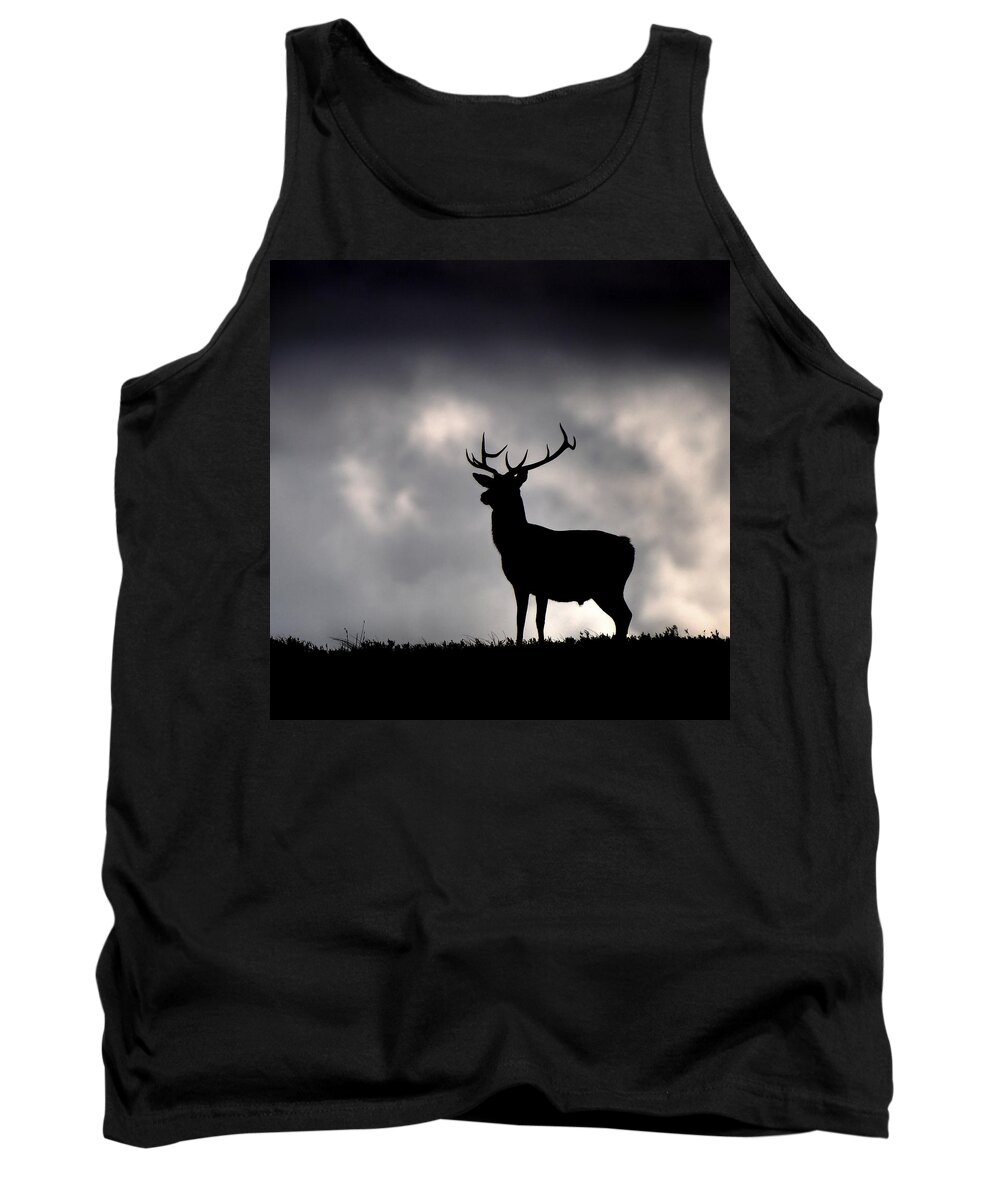 Stag Tank Top featuring the photograph Stag silhouette #4 by Gavin Macrae