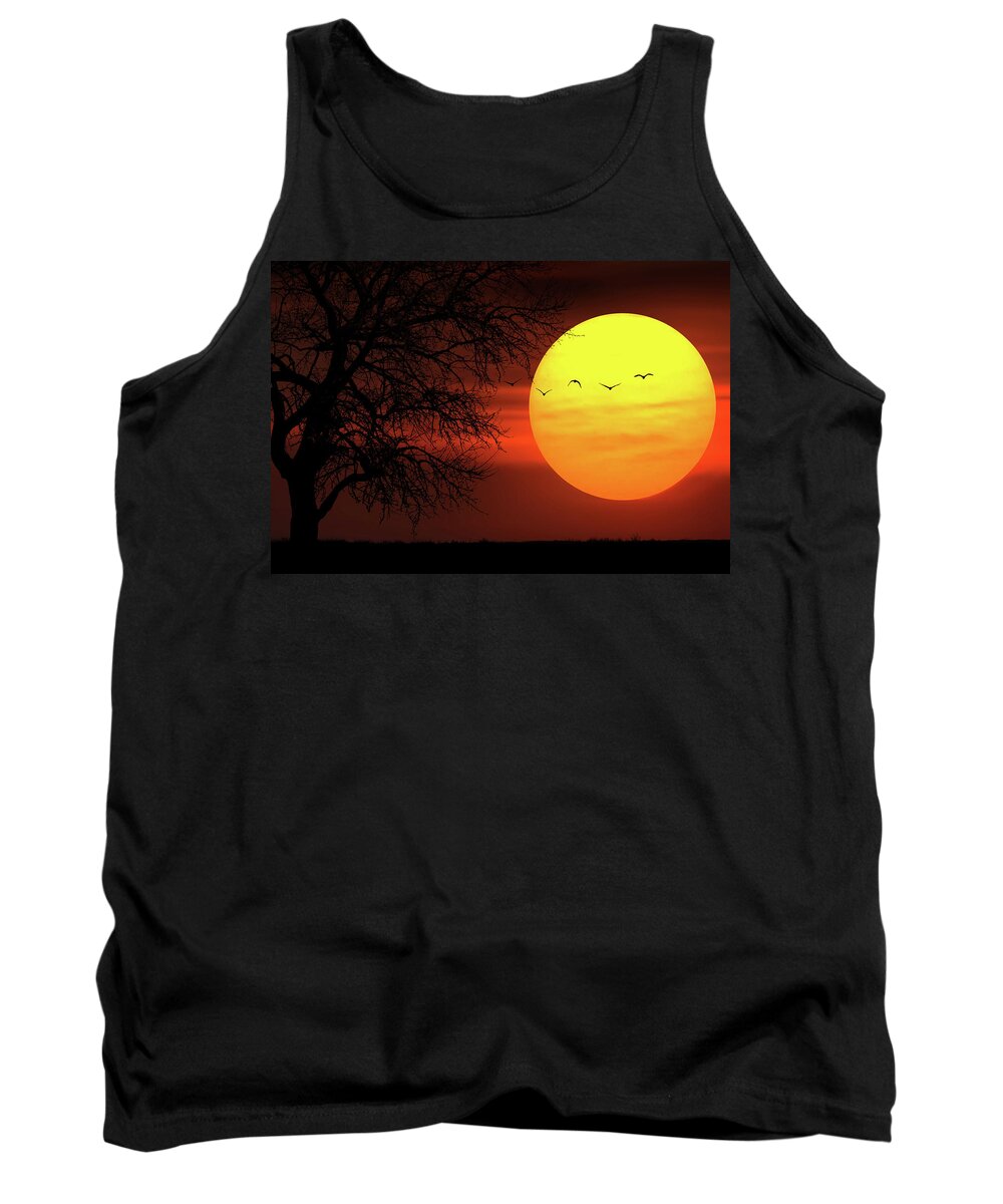 Autumn Tank Top featuring the photograph Sunset #4 by Bess Hamiti