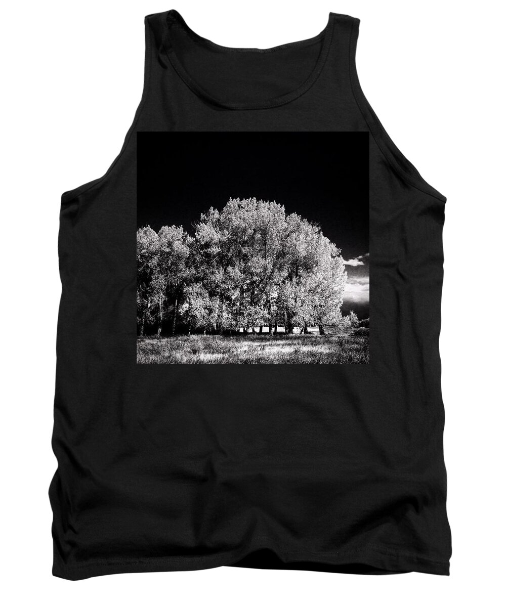 Beautiful Tank Top featuring the photograph Black And White Summer by Shawn Gordon