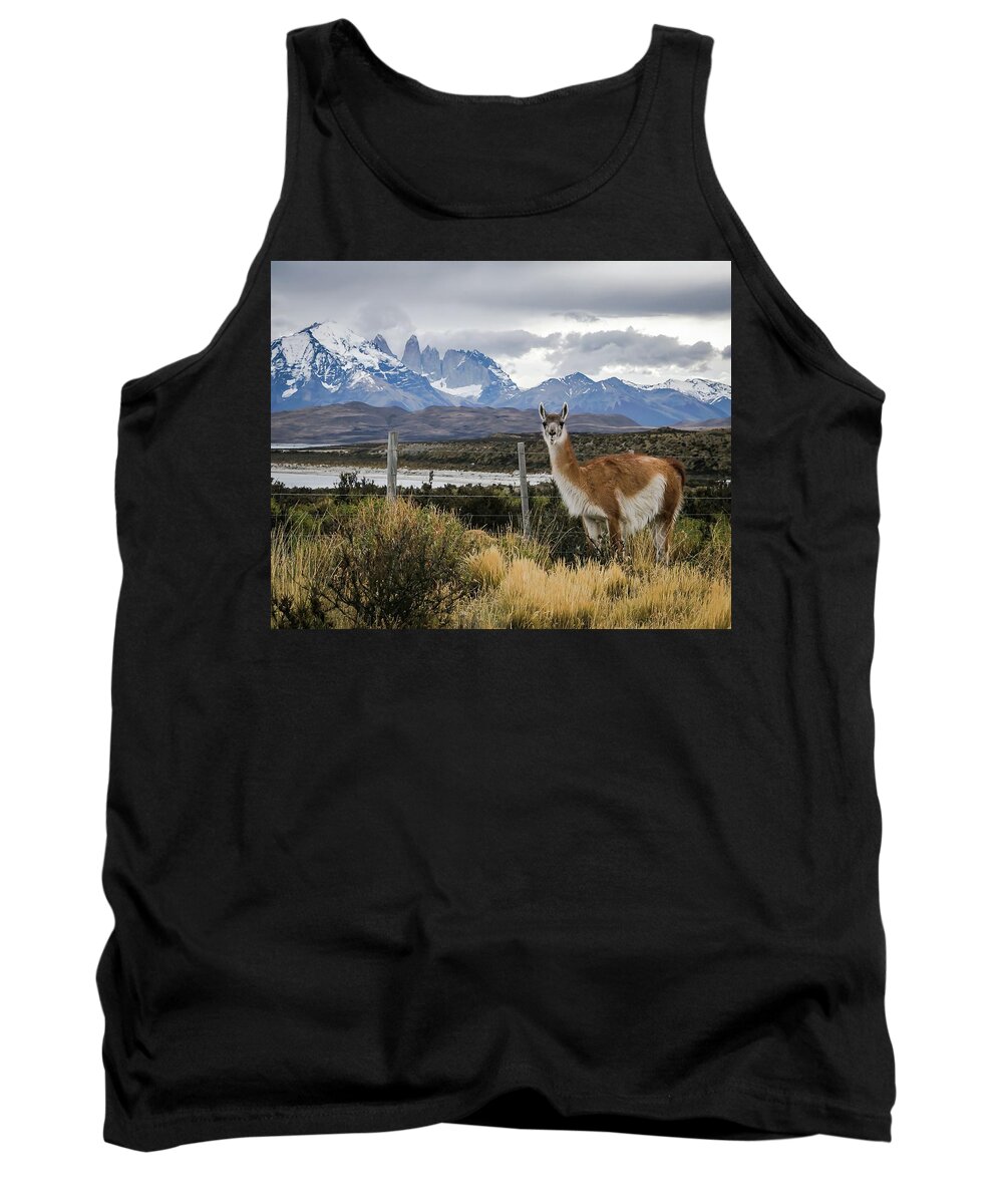 Landscape Tank Top featuring the photograph 51 South 2 by Ryan Weddle