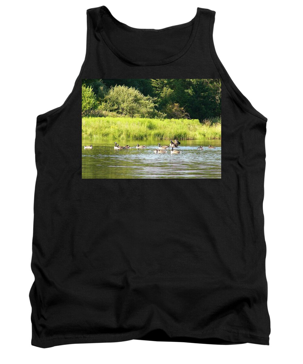 Goose Tank Top featuring the photograph Goose #6 by Mariel Mcmeeking