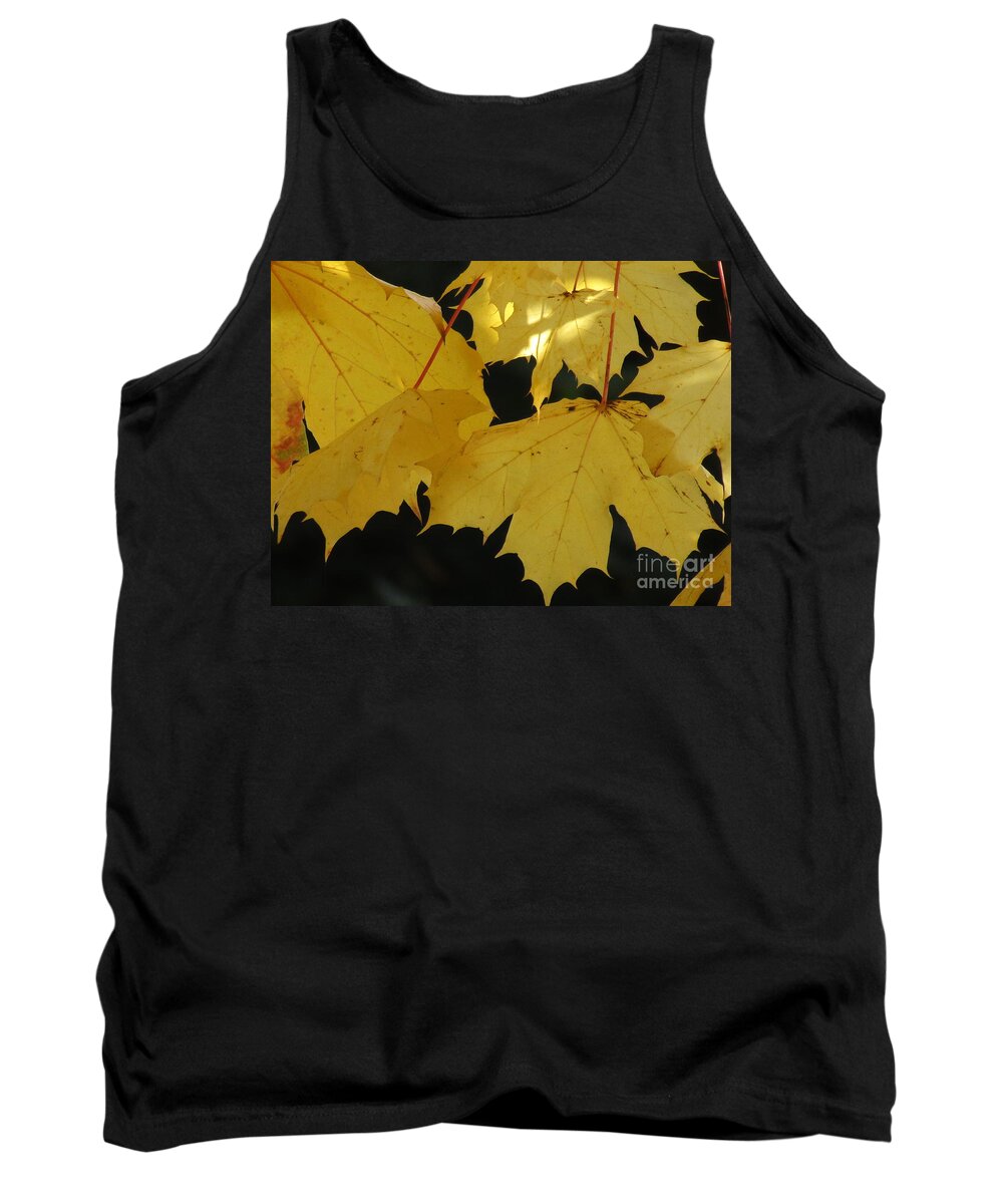 Maple Leaves Tank Top featuring the photograph A Glimpse Of Light by Kim Tran
