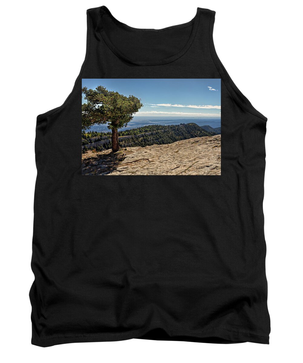 Landscape Tank Top featuring the photograph A Tree on the Edge by Michael McKenney