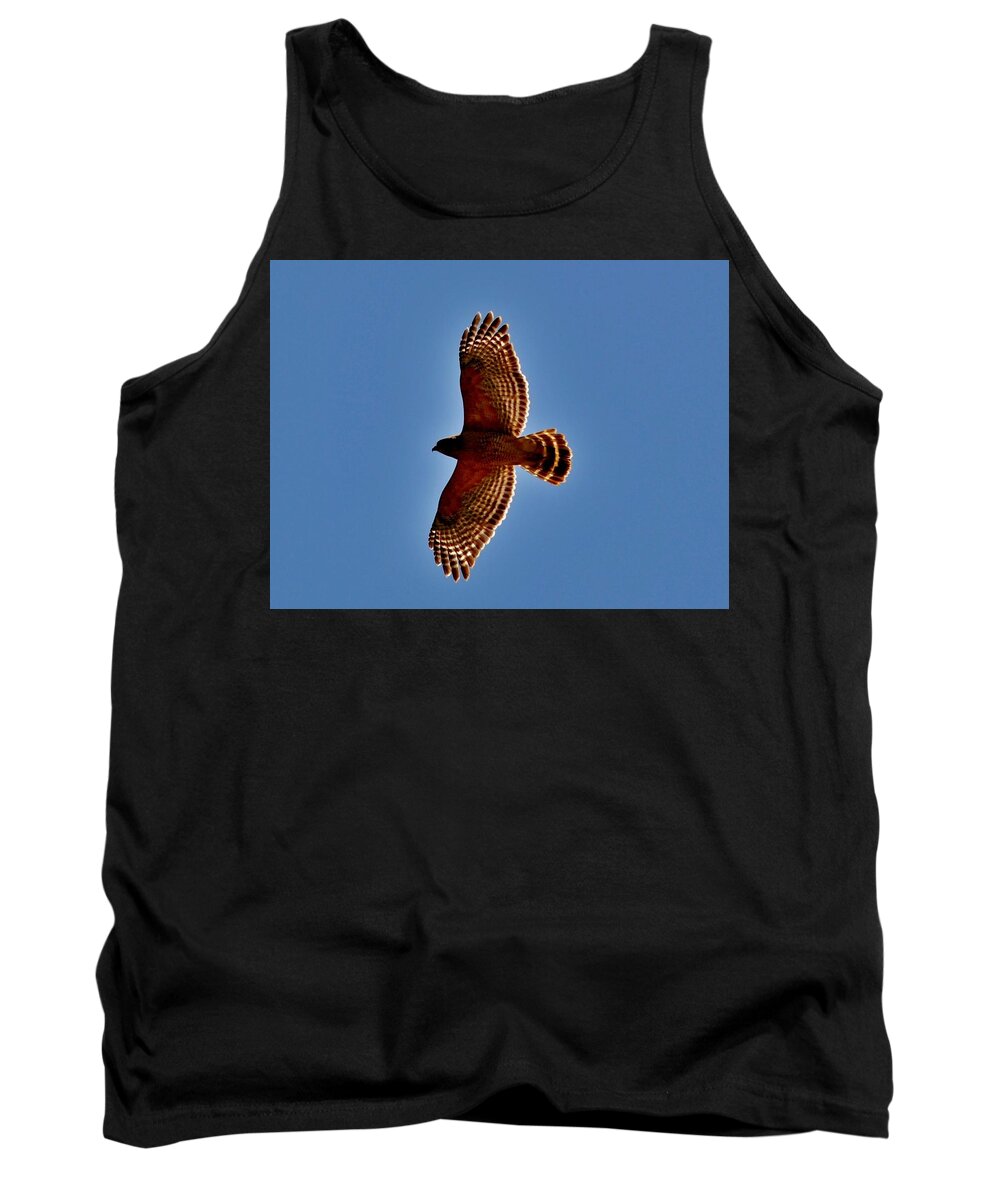 Eagle Tank Top featuring the photograph Osprey by Eileen Brymer