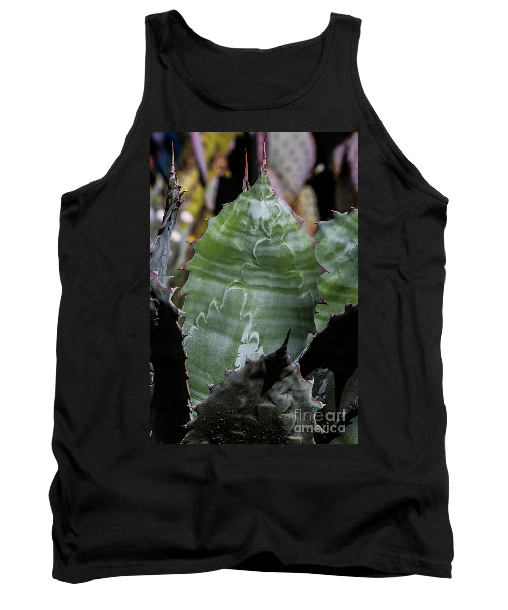 Arboretum Tank Top featuring the photograph Aloe Striations by Kathy McClure