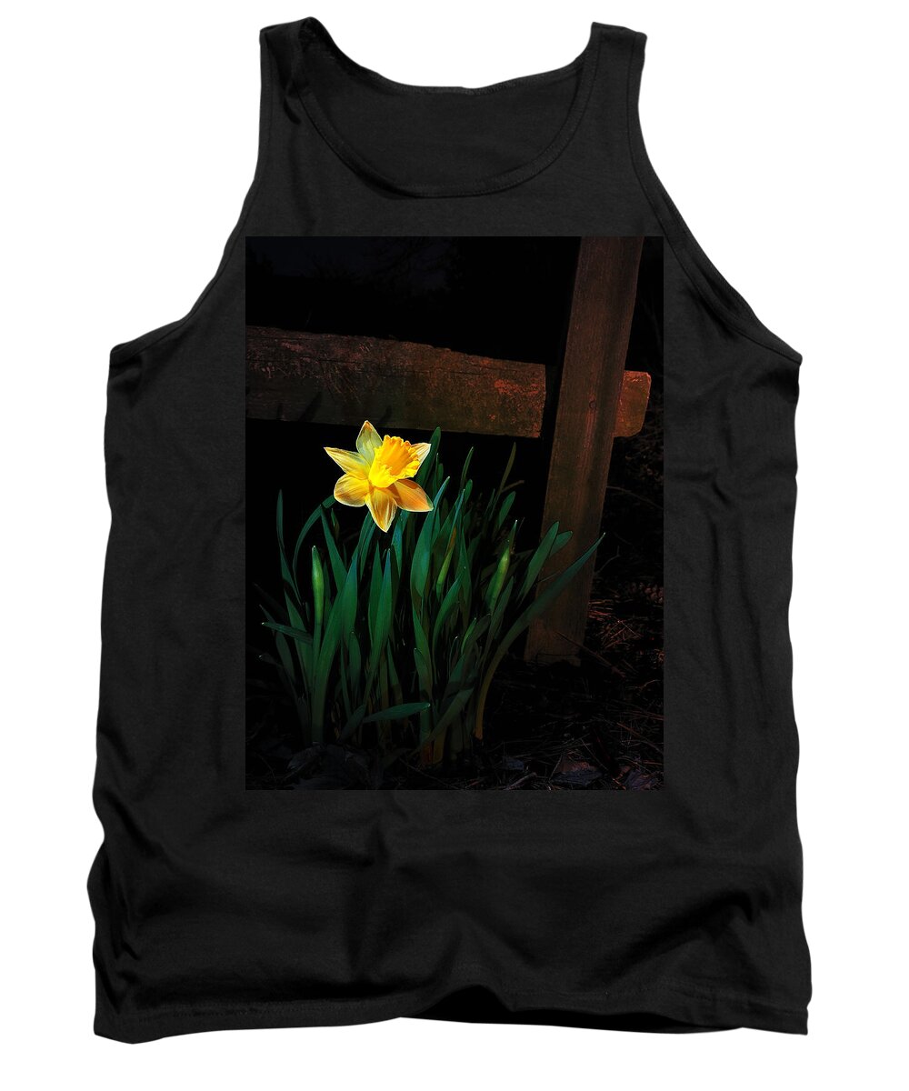Daffodil Tank Top featuring the photograph Alone In The Dark by Mark Fuller