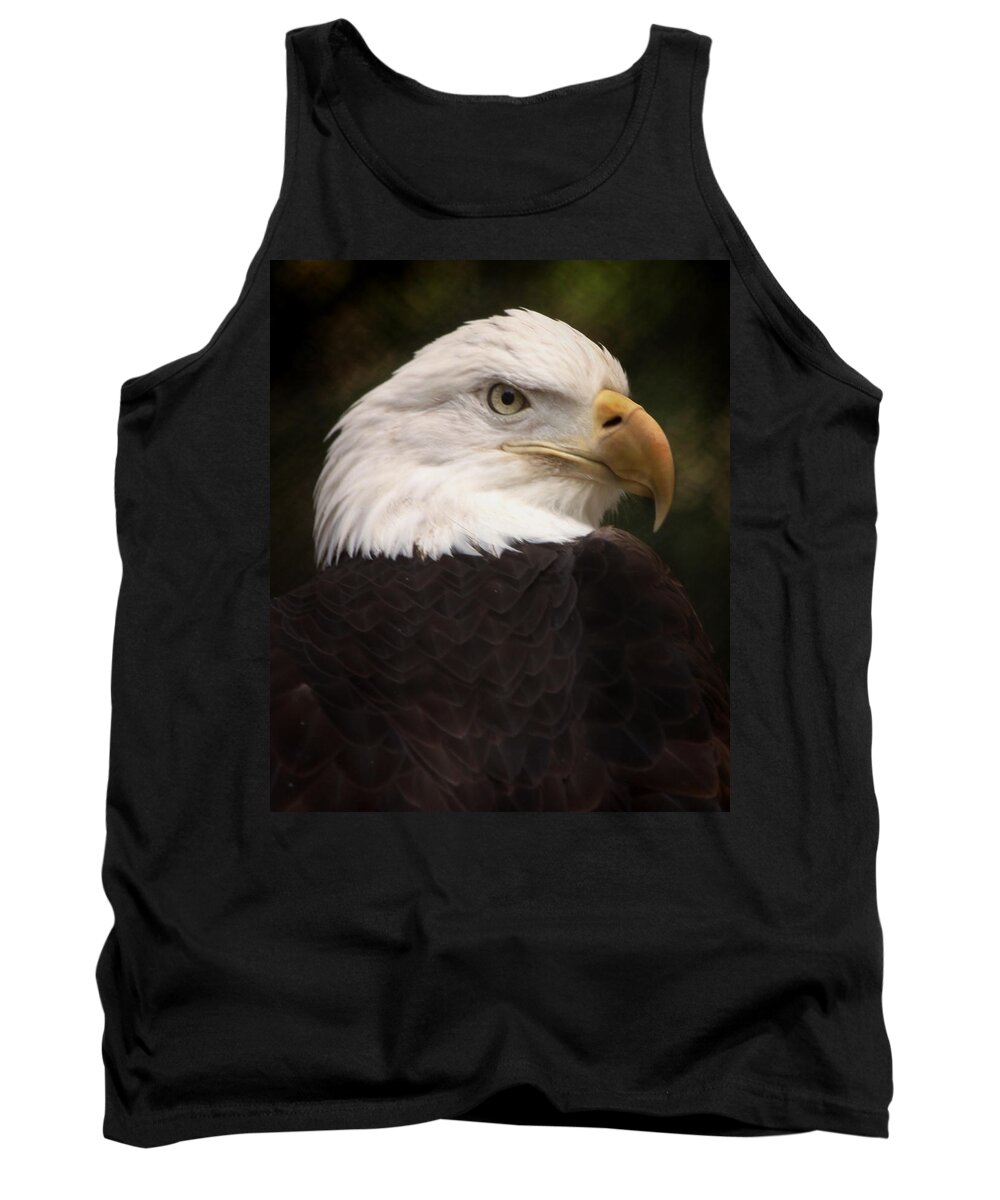 Bald Eagle Tank Top featuring the photograph American Bald Eagle by Joseph G Holland