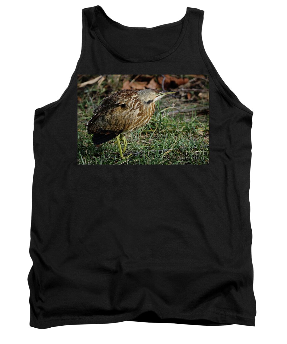 American Tank Top featuring the photograph American Bittern by Douglas Stucky