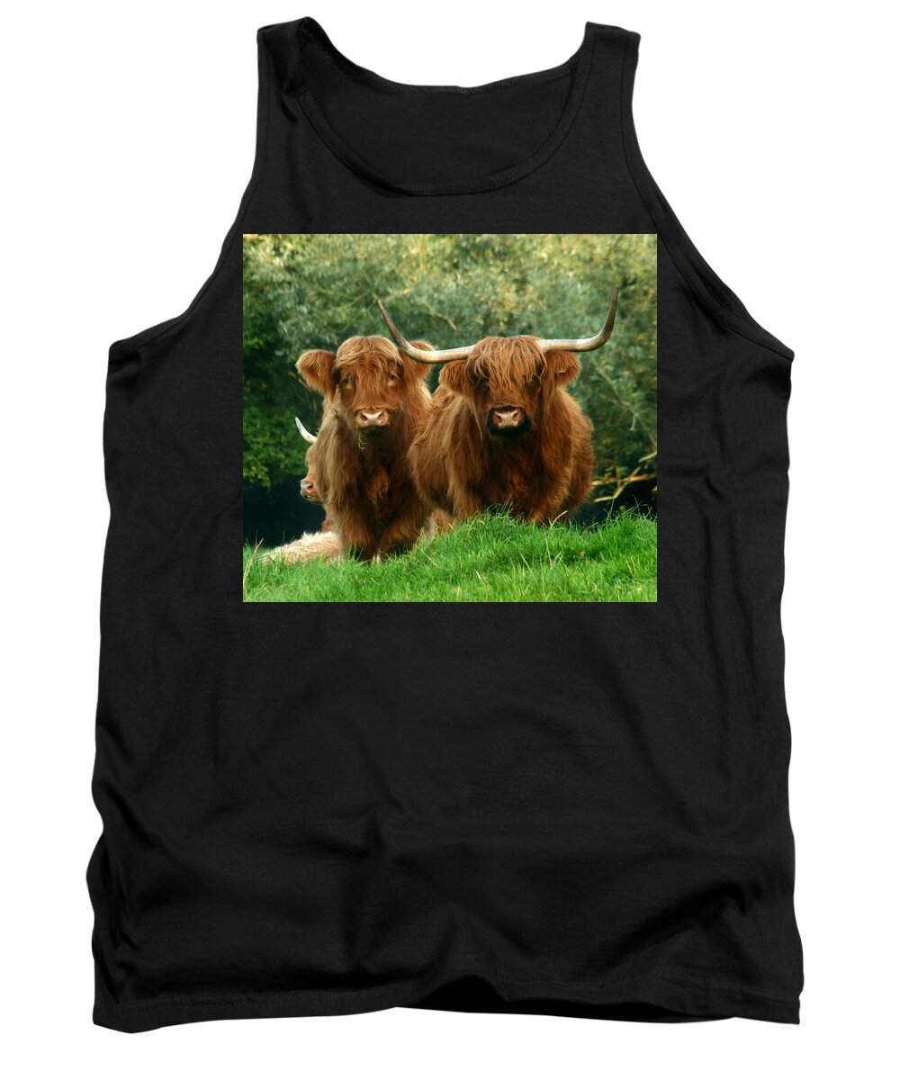 Cow Tank Top featuring the photograph Are You Talking To Us by Ang El
