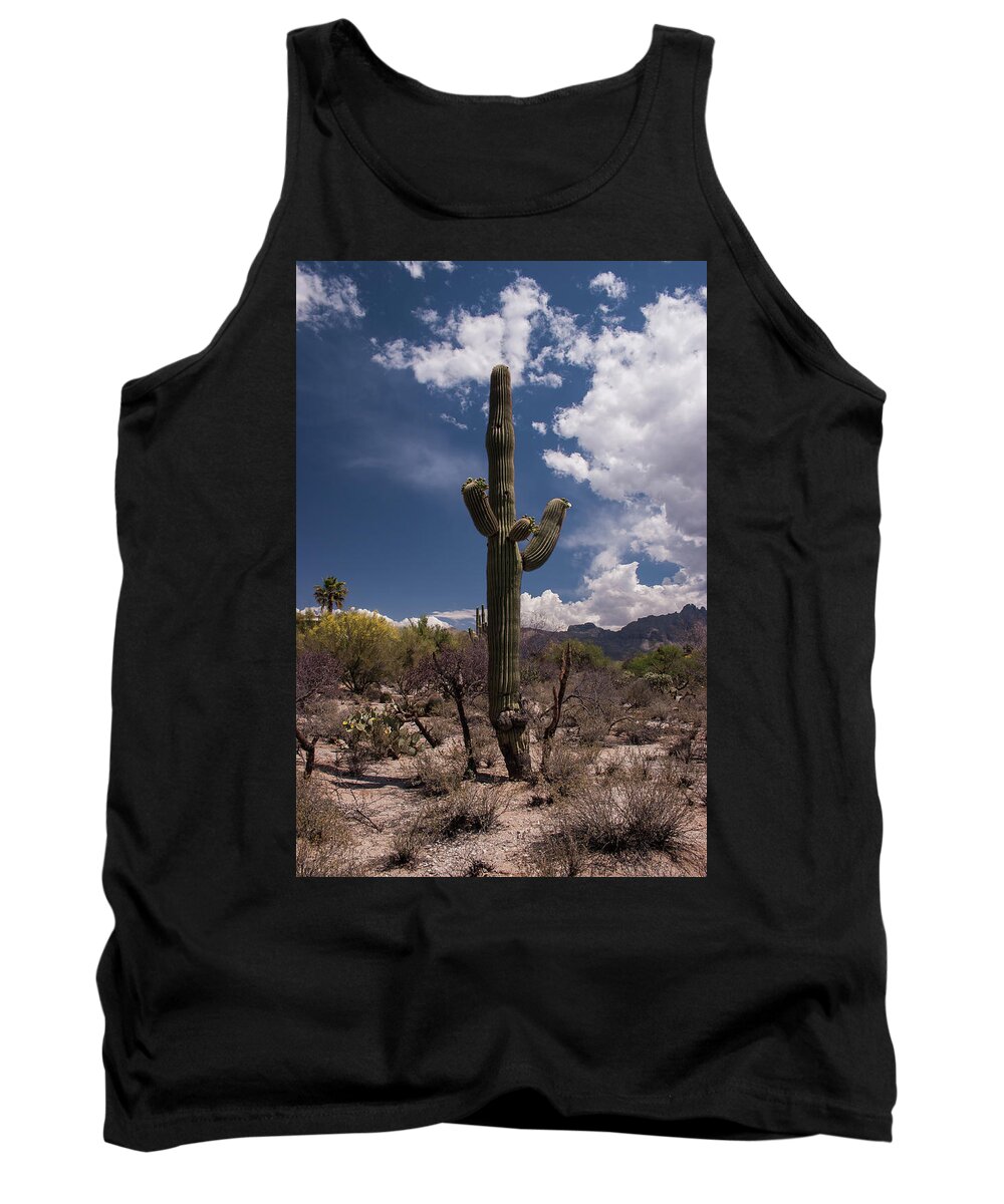 Arizona Tank Top featuring the photograph Arizona Cactus by David Palmer
