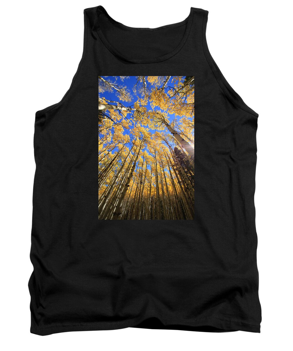 Aspens Tank Top featuring the photograph Aspen Hues by Tom Kelly