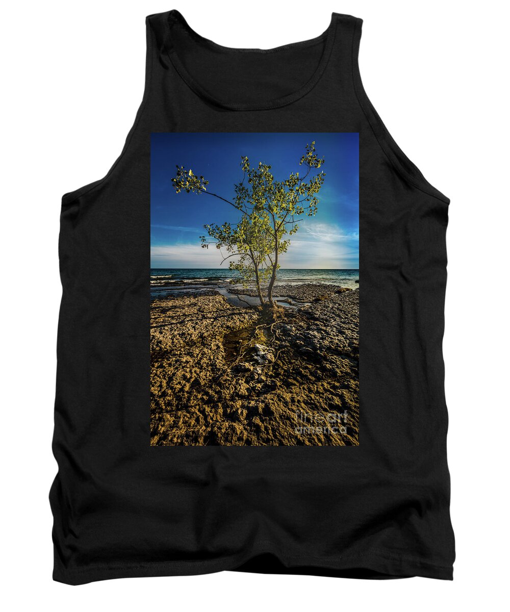 Aspen Tank Top featuring the photograph Aspen in a Crack by Roger Monahan