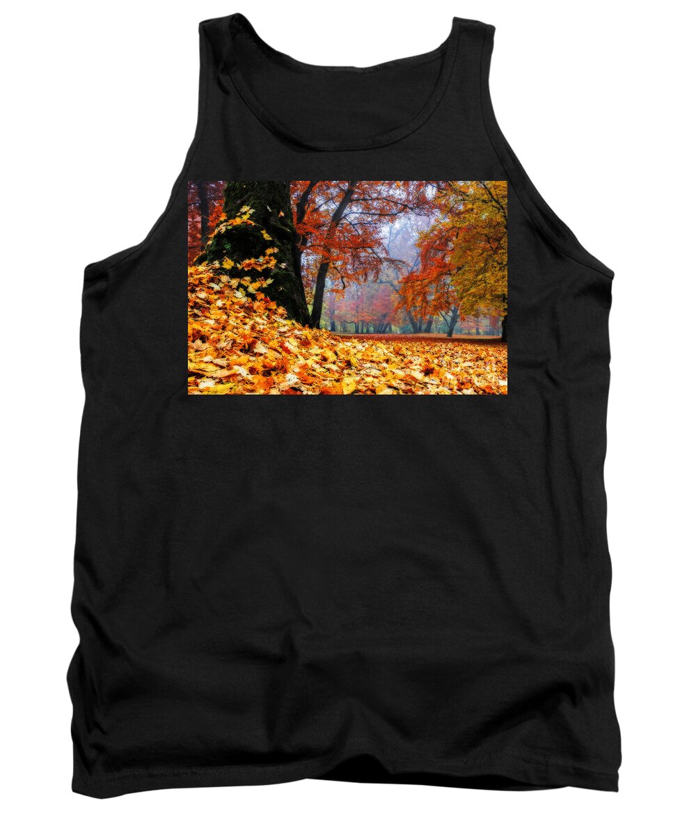 Autumn Tank Top featuring the photograph Autumn In The Woodland by Hannes Cmarits