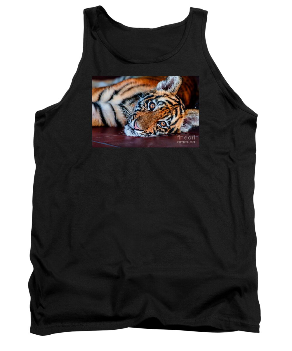 Animal Tank Top featuring the photograph Baby Tiger by Ray Shiu
