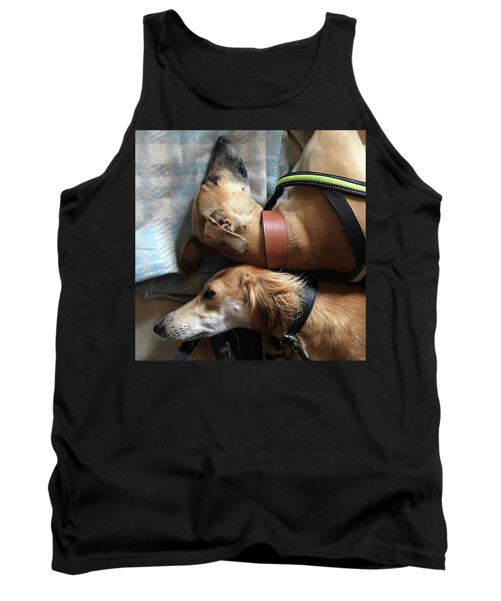 Persiangreyhound Tank Top featuring the photograph Back 2 Back - Ava And Finly Relaxing At by John Edwards