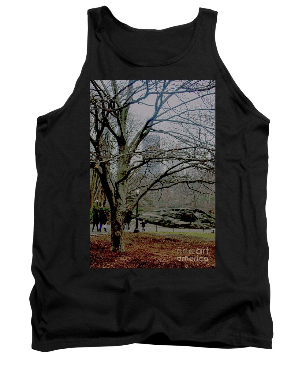 Park Tank Top featuring the photograph Bare Tree on Walking Path by Sandy Moulder