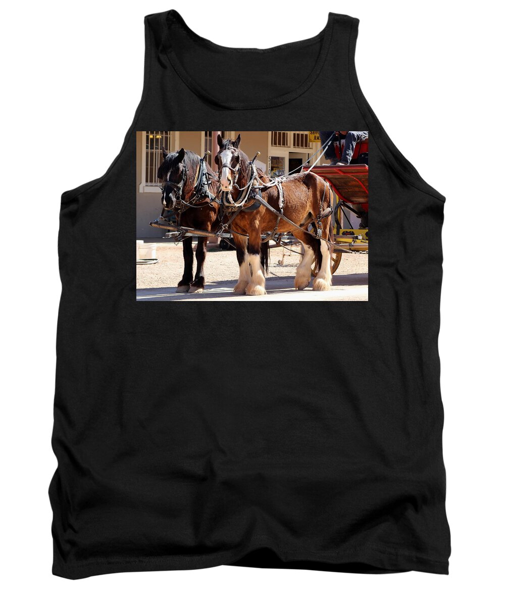 Clydesdale Horse Tank Top featuring the photograph Bay Colored Clydesdale Horses by Colleen Cornelius