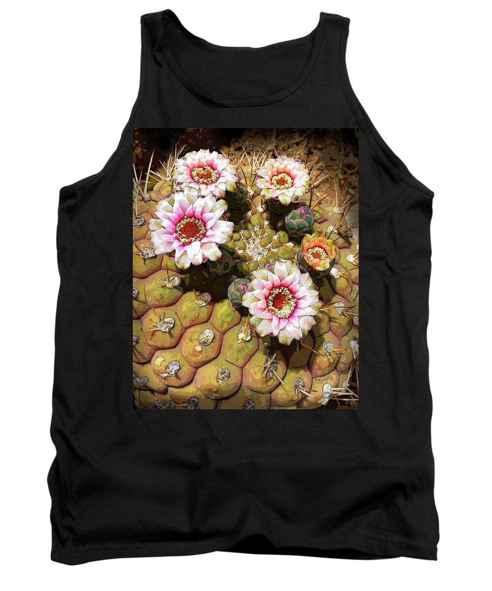 Cactus Tank Top featuring the photograph Beauty in the Desert by Sipporah Art and Illustration