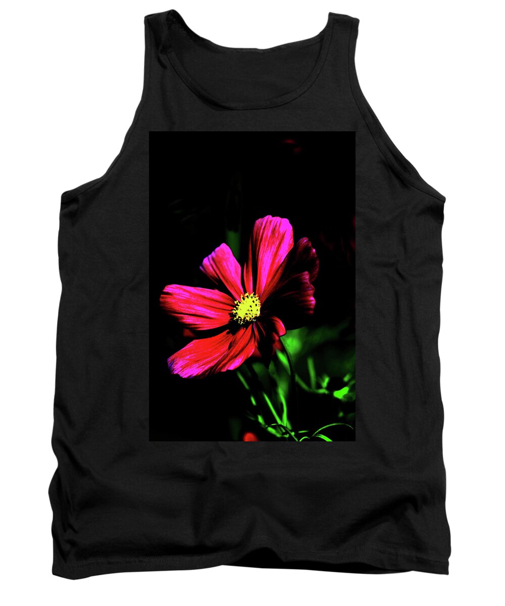 Nature Tank Top featuring the photograph Beauty by Tom Prendergast