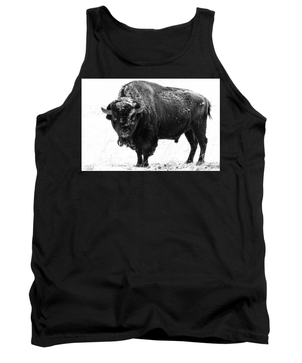 Nature Tank Top featuring the photograph Black and White of a Massive Bison Bull in the Snow by Tony Hake