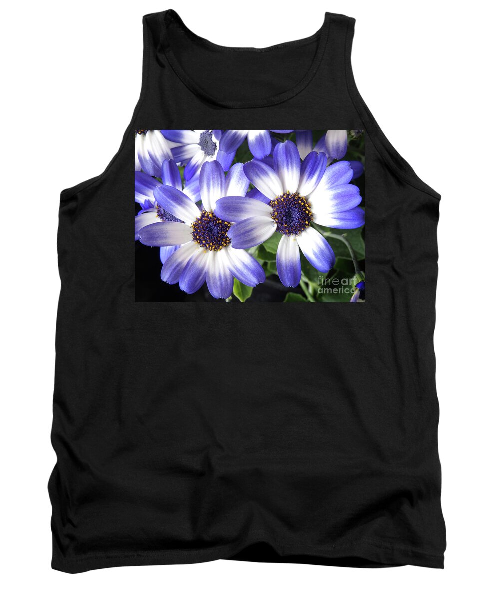 Flowers Tank Top featuring the photograph Blue Bi-Color Pericallis Senetti by Dorothy Lee
