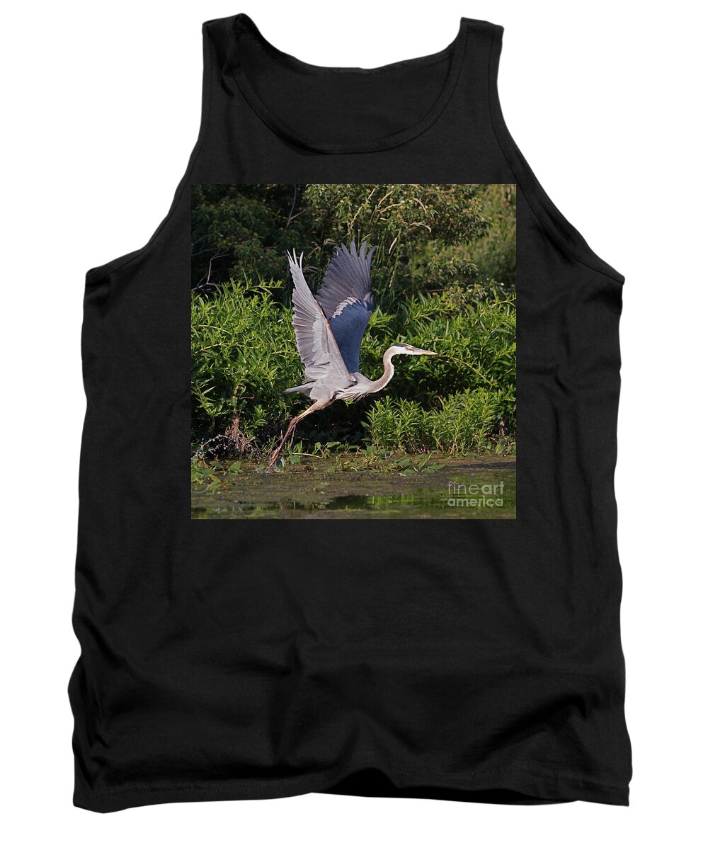 Bird Of Prey Bird Tank Top featuring the photograph Blue Heron by Robert Pearson