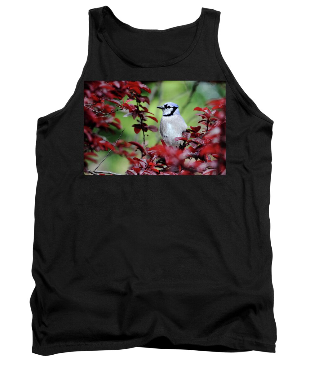 Birds Tank Top featuring the photograph Blue Jay in the Plum Tree by Trina Ansel
