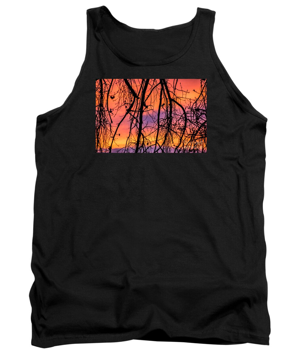  Tank Top featuring the photograph Branches In Color by Greg Summers