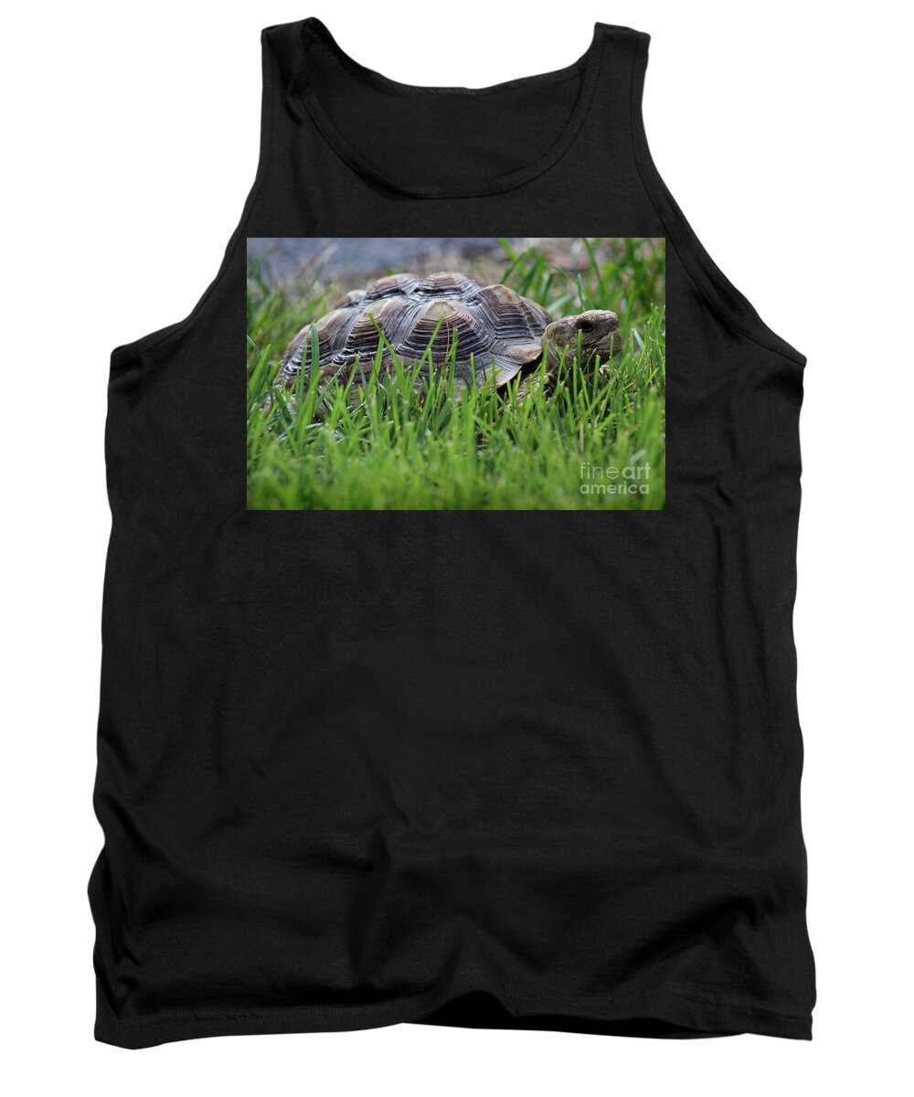Reptile Tank Top featuring the photograph But He Has a Great Personality by Karen Adams