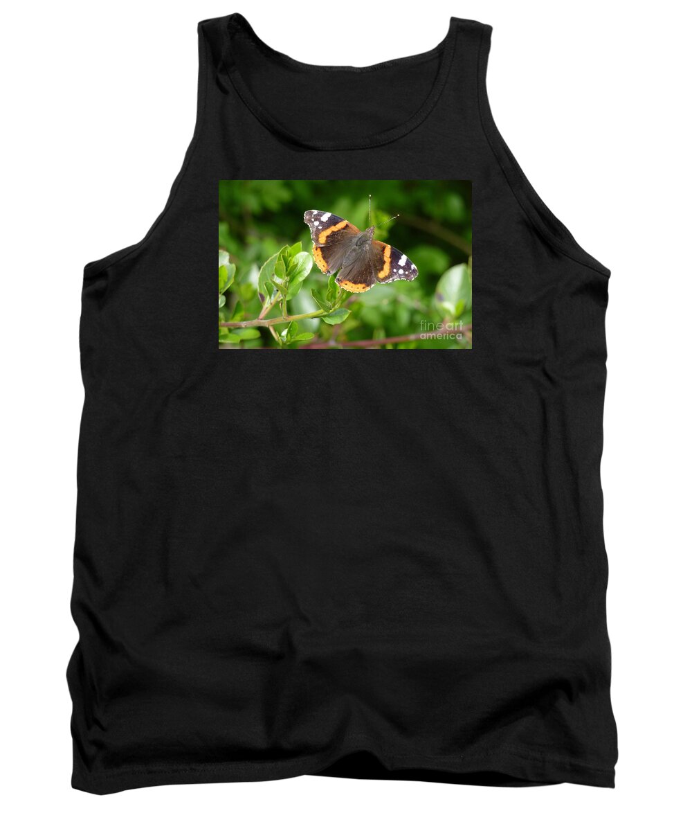 Beautiful Tank Top featuring the photograph Butterfly 10 by Jean Bernard Roussilhe