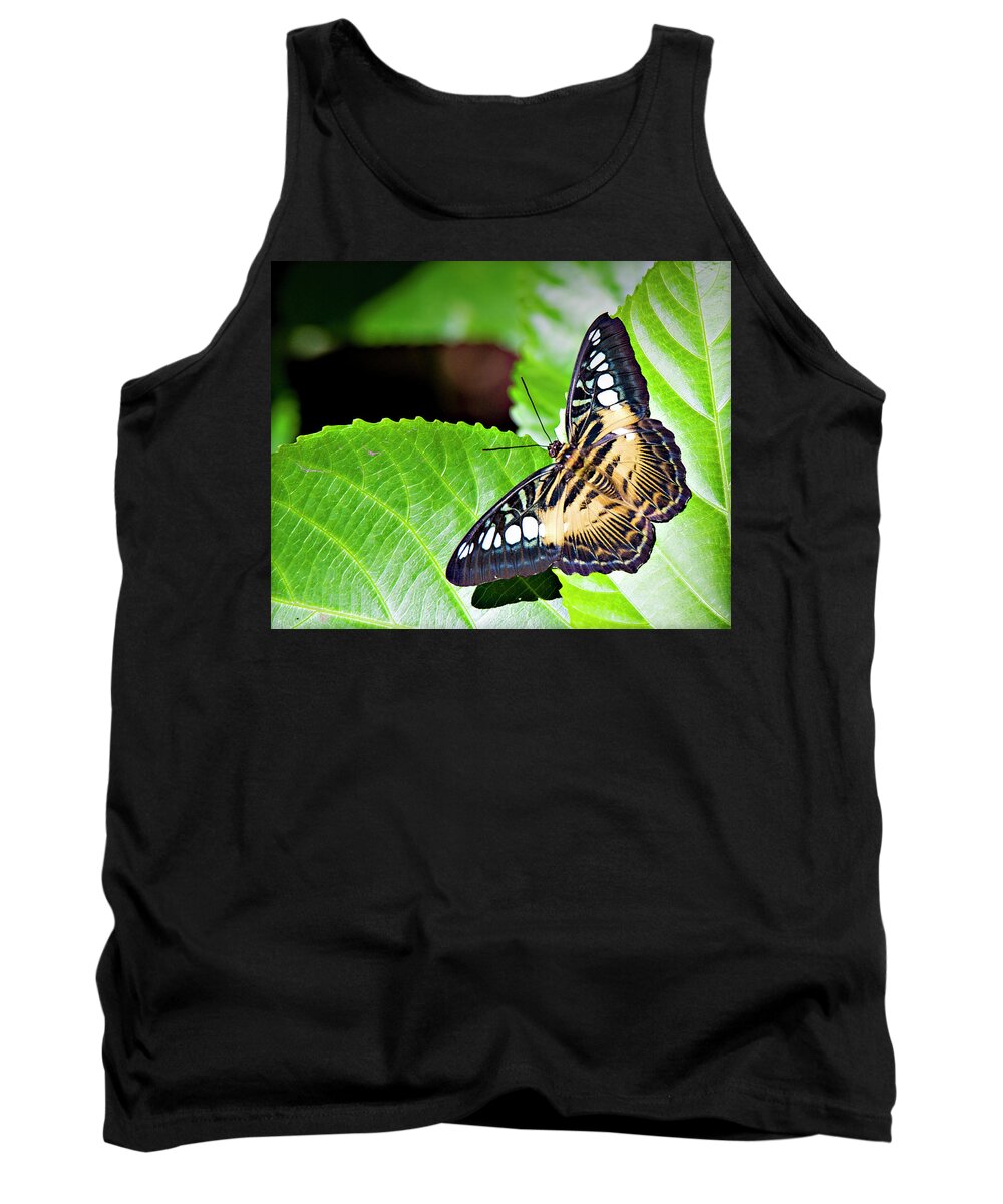 Butterfly Tank Top featuring the photograph Butterfly 13a by Walter Herrit