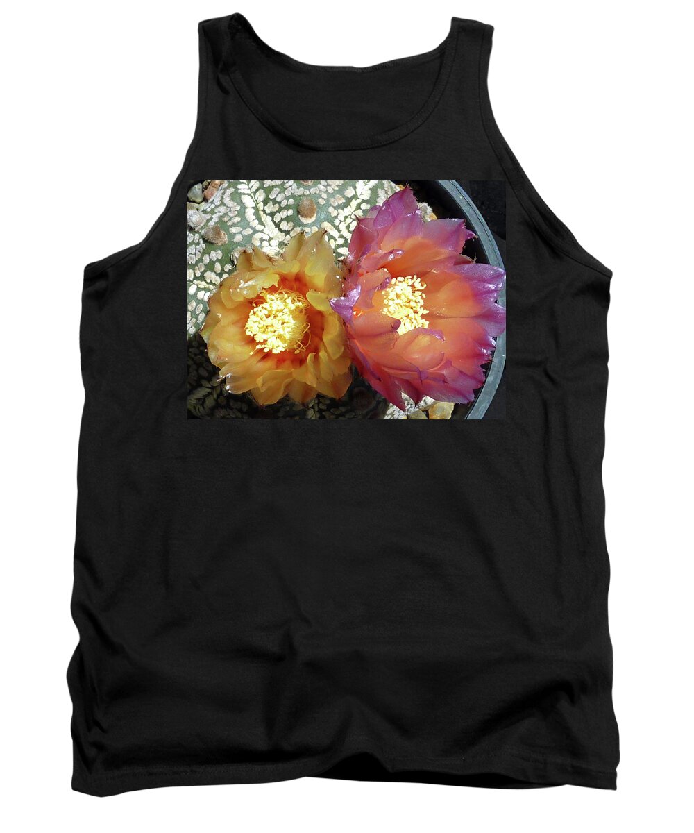 Cactus Tank Top featuring the photograph Cactus Flower 3 by Selena Boron