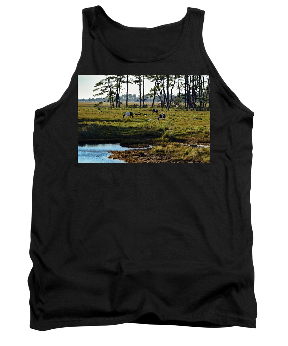Chincoteague Tank Top featuring the photograph Chincoteague Ponies by Nicole Lloyd