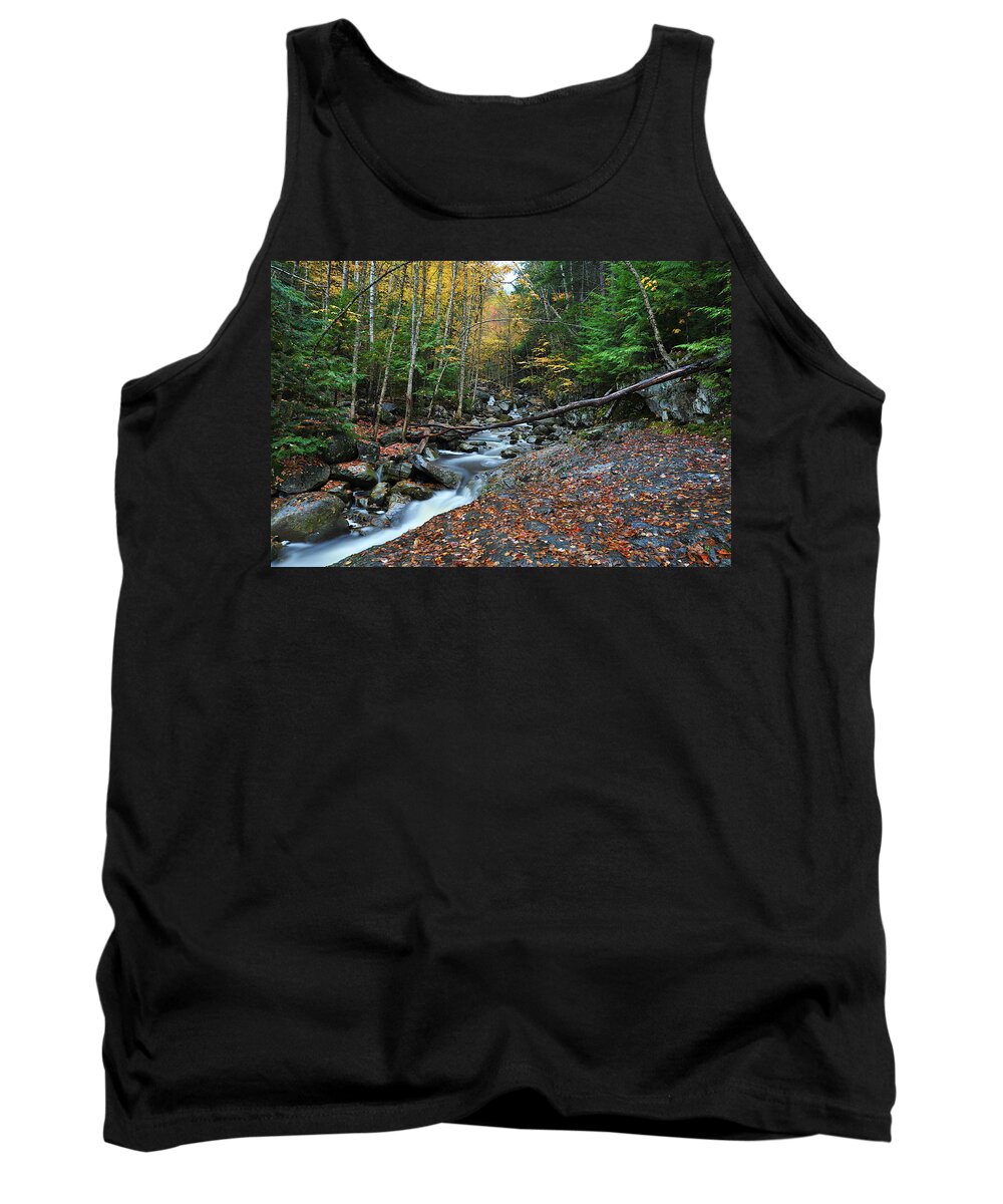 Photograph Tank Top featuring the photograph Coffee and Cream by Richard Gehlbach