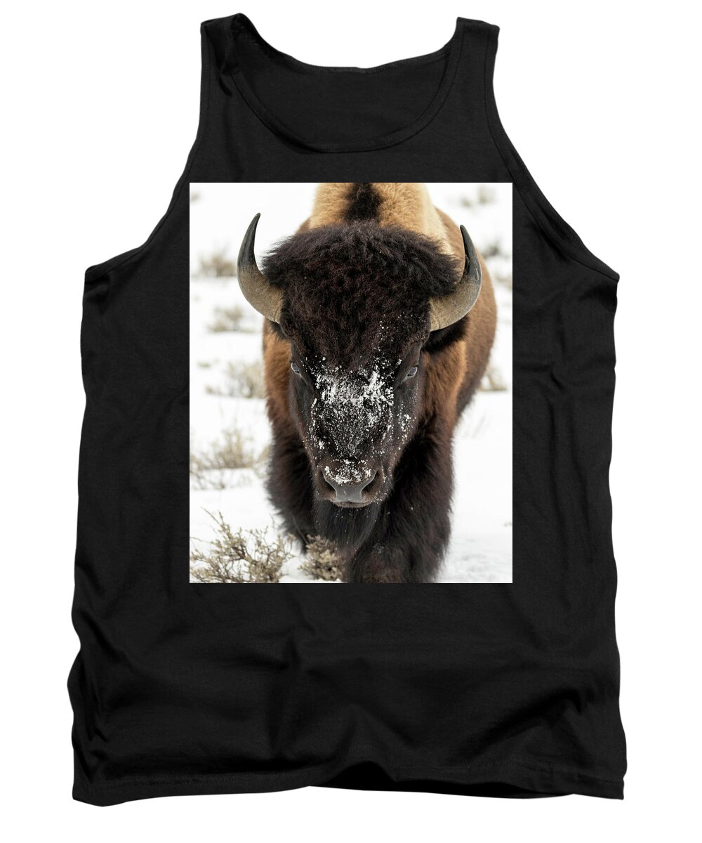 Bison Tank Top featuring the photograph Cold Bison Stare by Mark Harrington