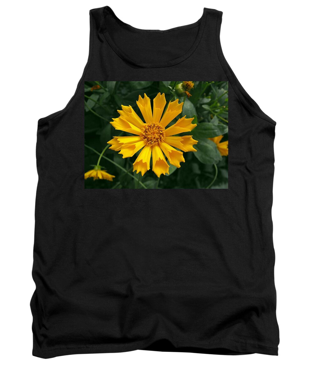 Floral Picture Tank Top featuring the photograph Coreopsis Jethro Tull by Kae Cheatham