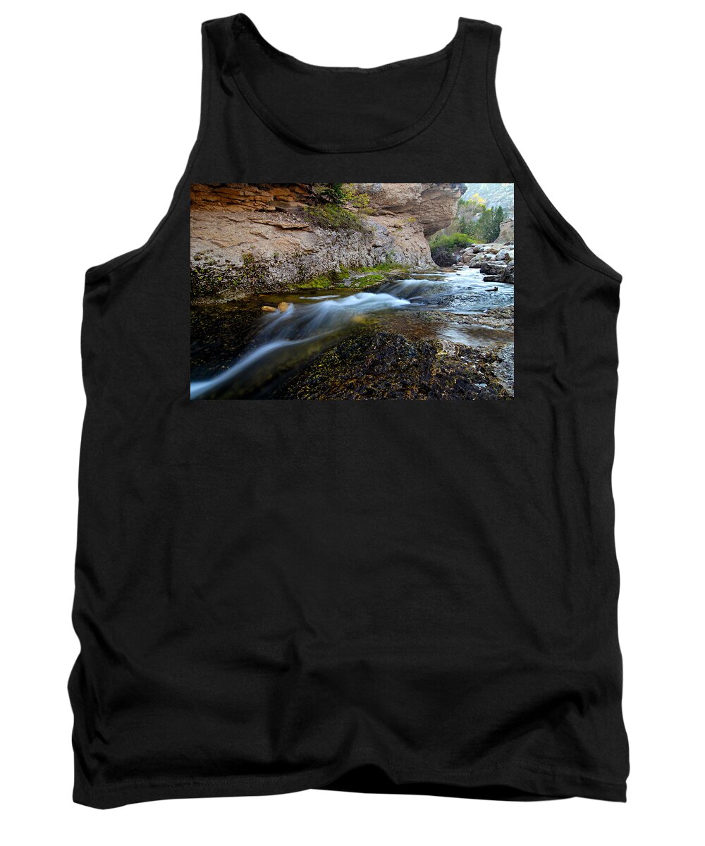 Crazy Woman Creek Tank Top featuring the photograph Crazy Woman Creek by Larry Ricker