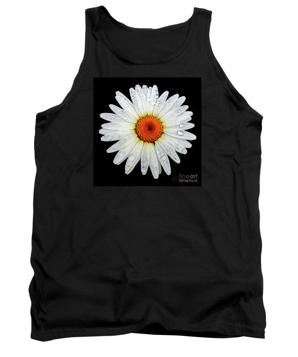 Daisy Tank Top featuring the photograph Daisy by Pat Davidson