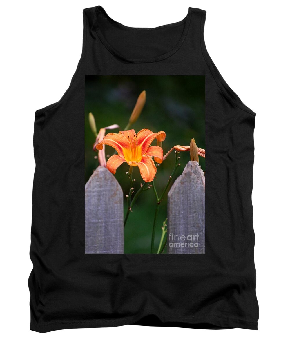 Digital Photograph Tank Top featuring the photograph Day Lilly fenced in by David Lane