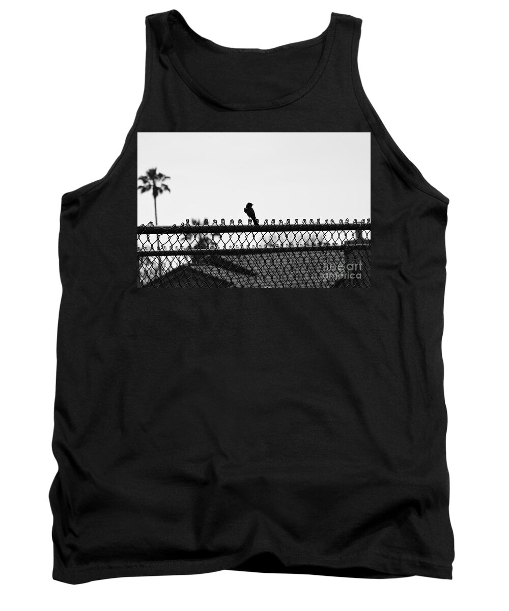 Bird Tank Top featuring the photograph Days Go By by Leah McPhail