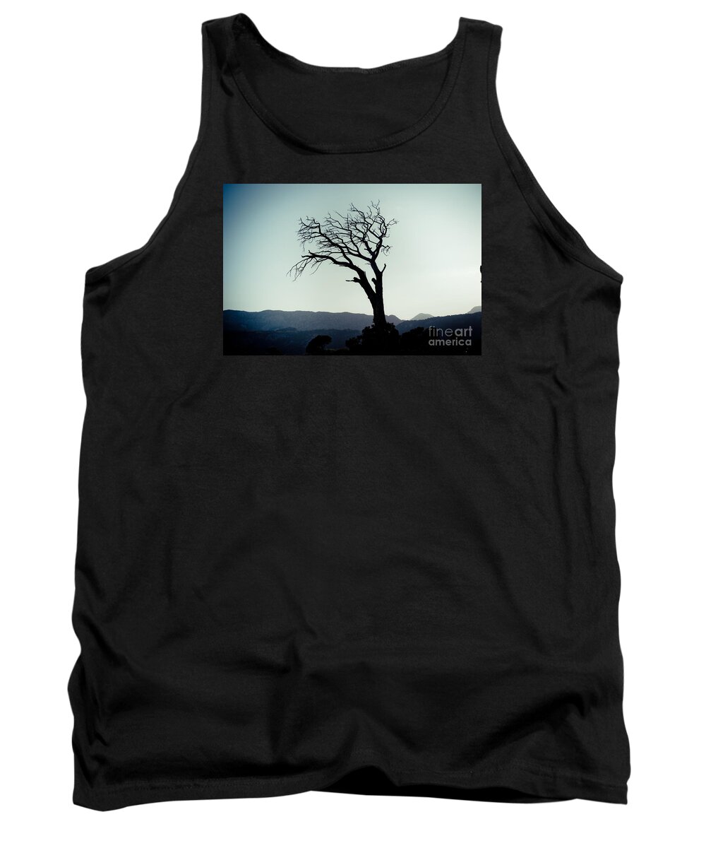 Water Tank Top featuring the photograph Dead tree at the sky by Raimond Klavins