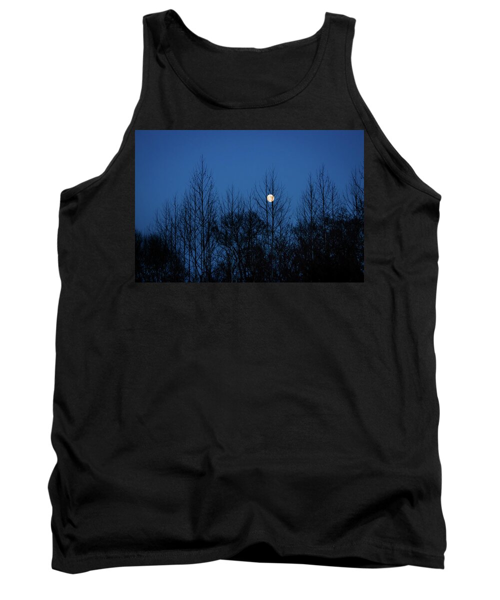 Moon Tank Top featuring the photograph December Moon by Jeff Phillippi