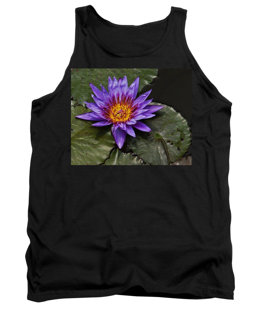 Kenilworth Aquatic Gardens Tank Top featuring the photograph Director Moore Water Lily by Suzanne Stout