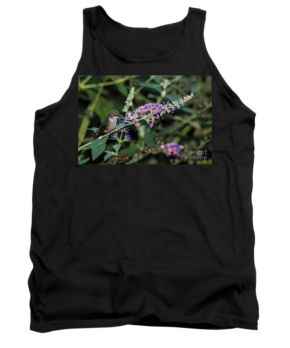 Hummingbird Tank Top featuring the photograph Do You Mind by Judy Wolinsky